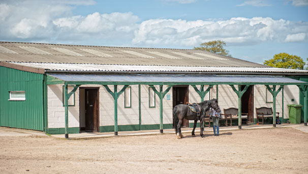 Our Livery Yard & Stables are BHS & ABRS approved