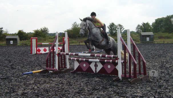 Show Jumping & Dressage training are both available