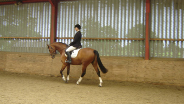 Riding Schools are available in both our indoor & outdoor arenas