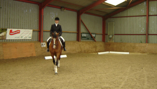 As well as riding schools we can offer a range of competition training